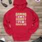 Gaming Is Not A Hobby - Jino Pro Gamer Hoodie By Printhaws Creations