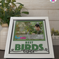 Best Birds Ever - Crafted Memoirs Photo Frame By Printhaws Creations, Reclined View Of Matte White Frame In Emerald Green, Midnight Joy Theme (Dark, Radiant), 8x8 Frame Holds (4R) Photo -  For Your Pets