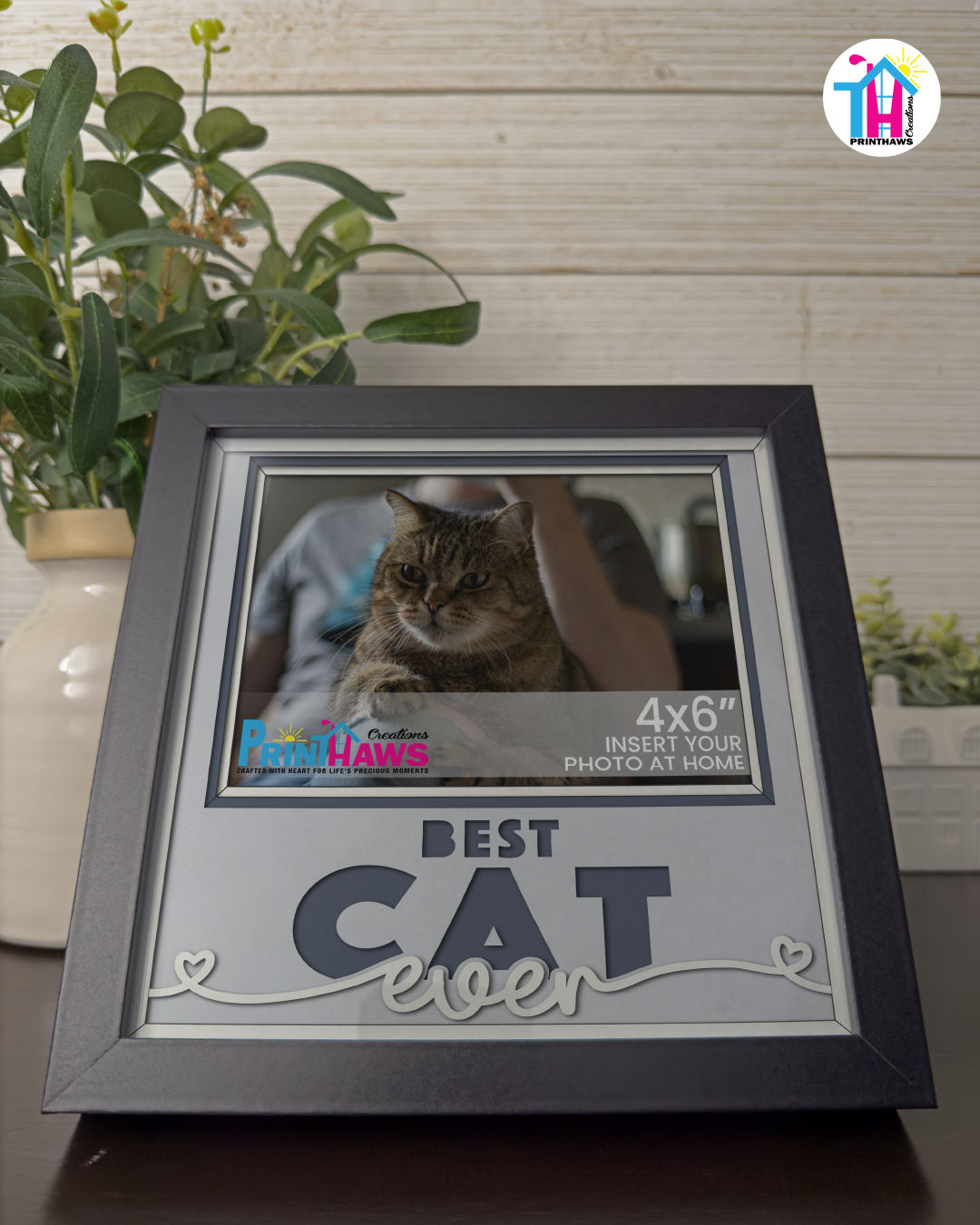 Best Cat Ever - Crafted Memoirs Photo Frame By Printhaws Creations, Reclined View Of Matte Black Frame In Moonstone Gray, Sunbeam Bliss Theme (Light, Radiant), 8x8 Frame Holds (4R) Photo -  For Your Pets
